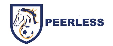 easywin login|Peerless Ltd.